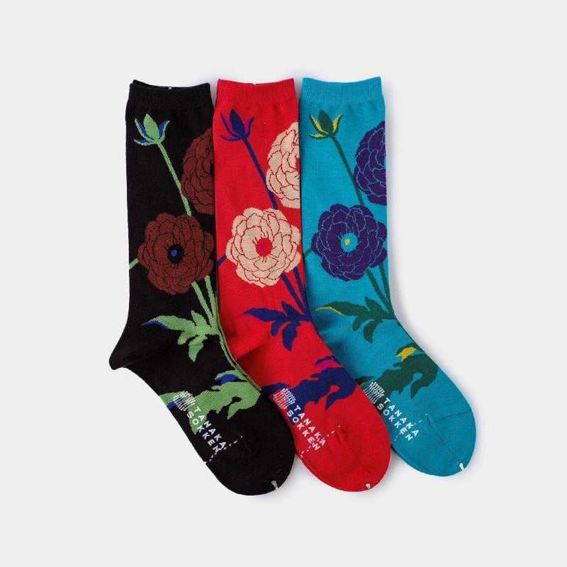 【靴下】GARA SOCKS (HANA) | 靴下 | TANAKA SOKKEN